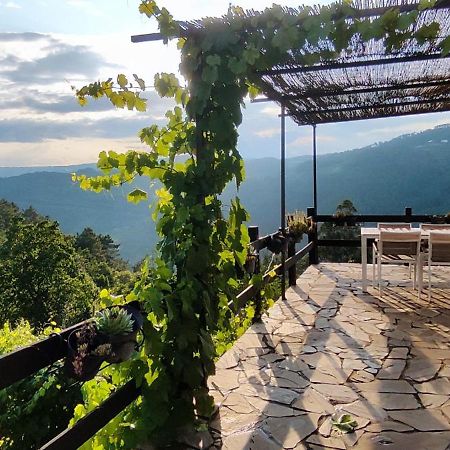 Casa Da Vina - Ribeira Sacra Villa Nogueira De Ramuin Buitenkant foto