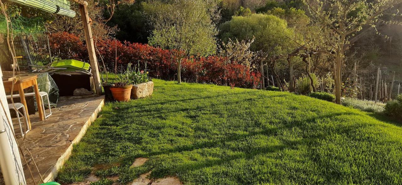 Casa Da Vina - Ribeira Sacra Villa Nogueira De Ramuin Buitenkant foto