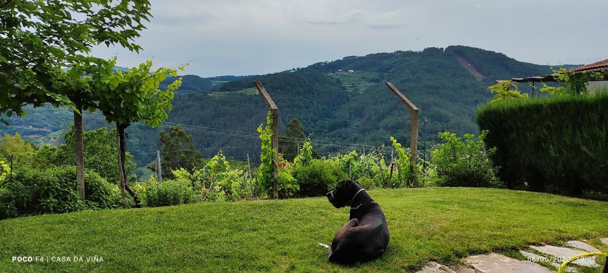 Casa Da Vina - Ribeira Sacra Villa Nogueira De Ramuin Buitenkant foto