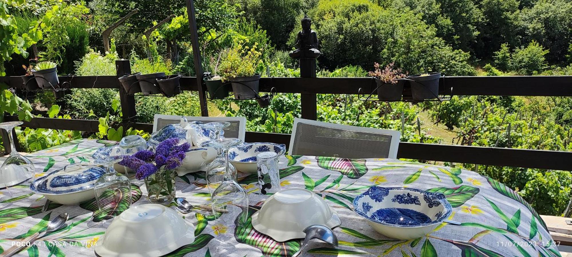 Casa Da Vina - Ribeira Sacra Villa Nogueira De Ramuin Buitenkant foto