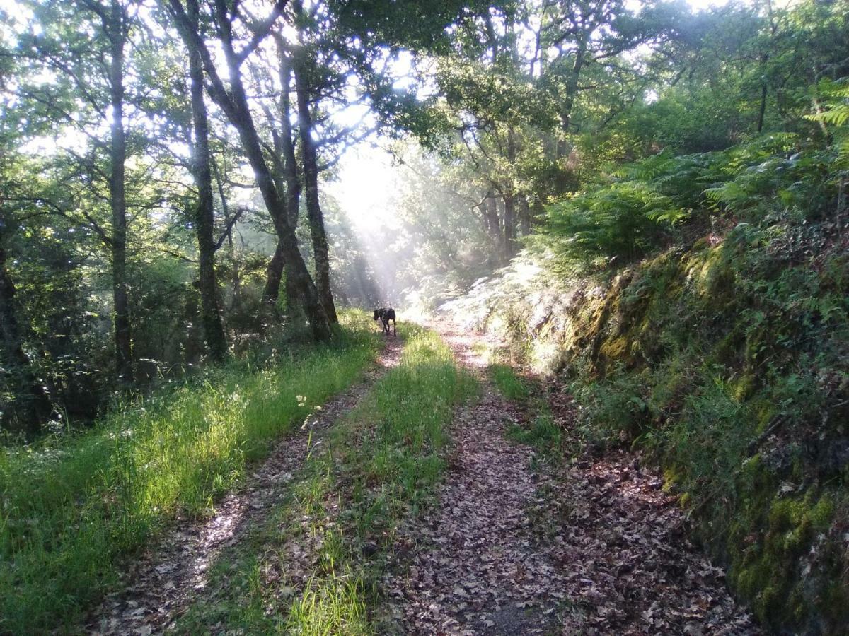 Casa Da Vina - Ribeira Sacra Villa Nogueira De Ramuin Buitenkant foto
