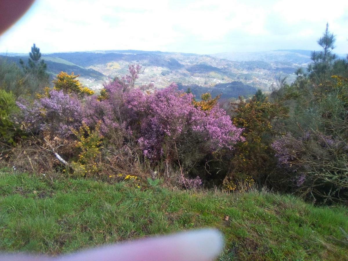 Casa Da Vina - Ribeira Sacra Villa Nogueira De Ramuin Buitenkant foto