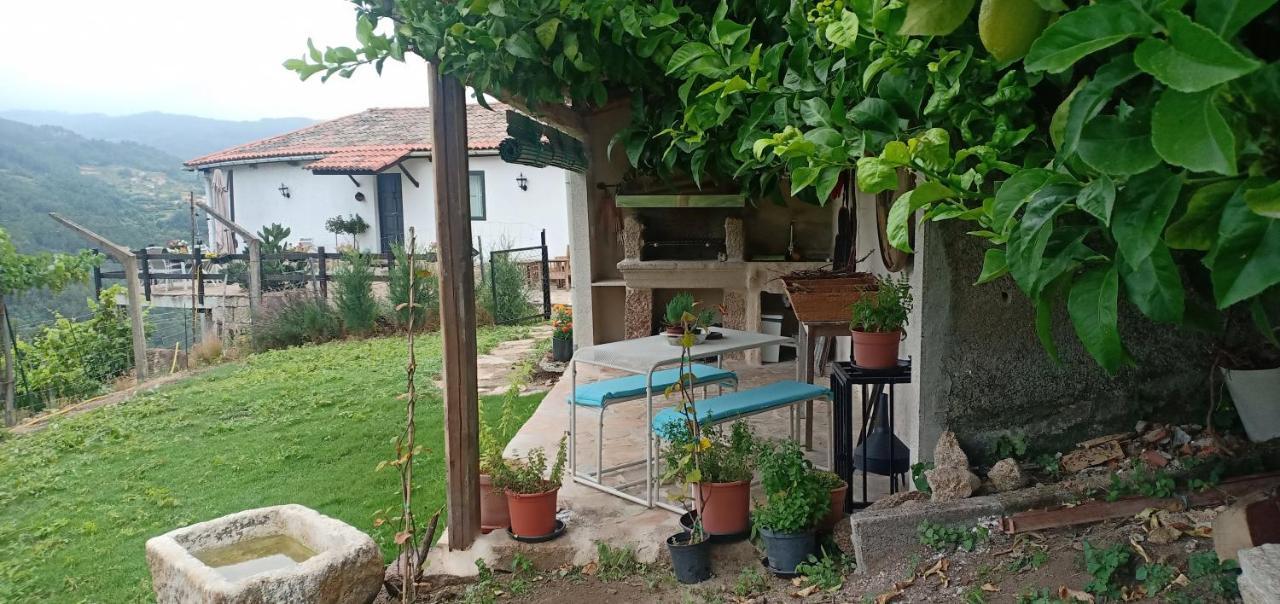 Casa Da Vina - Ribeira Sacra Villa Nogueira De Ramuin Buitenkant foto
