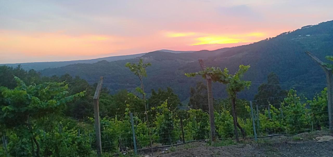 Casa Da Vina - Ribeira Sacra Villa Nogueira De Ramuin Buitenkant foto