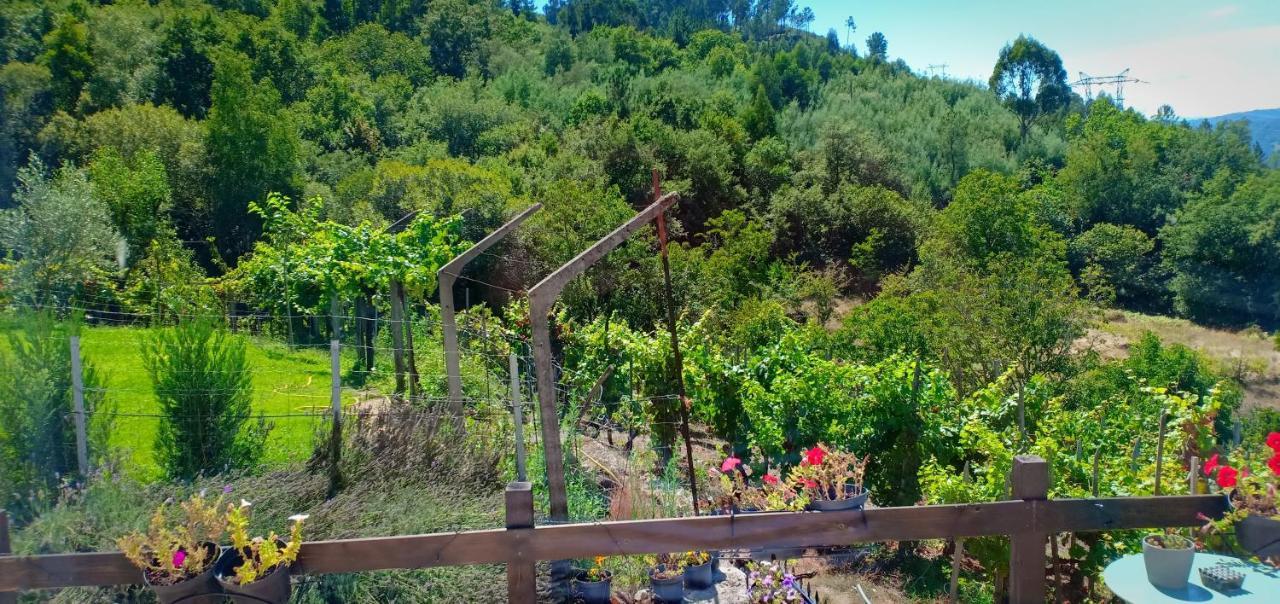 Casa Da Vina - Ribeira Sacra Villa Nogueira De Ramuin Buitenkant foto